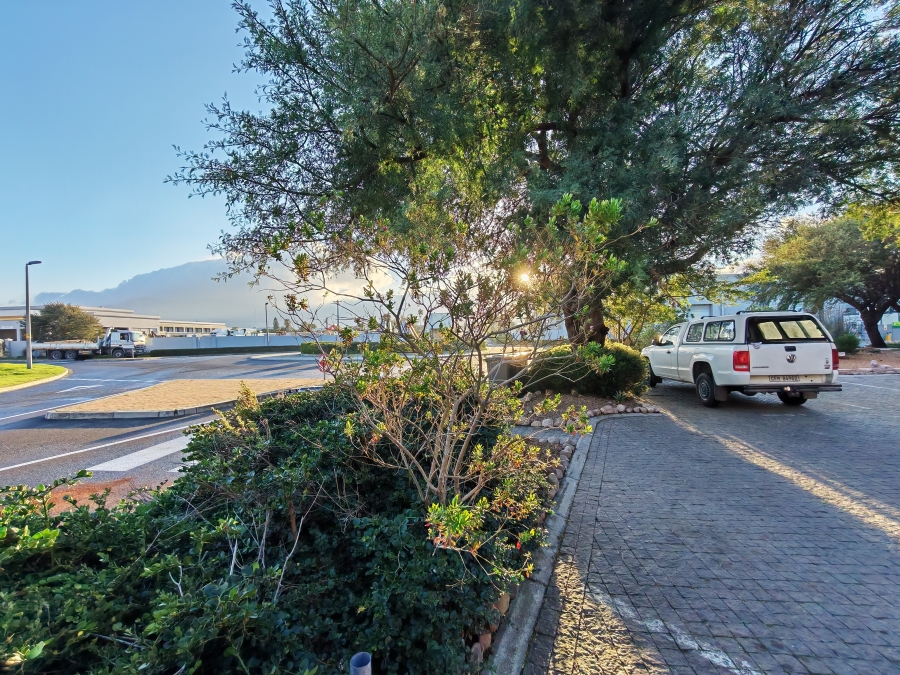 To Let Commercial Property for Rent in Asla Park Western Cape